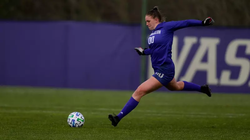 造上的投入 造上的投入