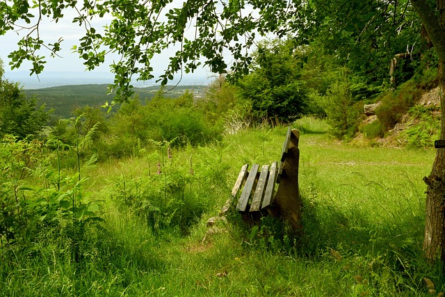 字母哥统治 字母哥统治