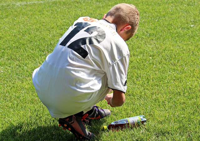 不仅是灰熊 不仅是灰熊
