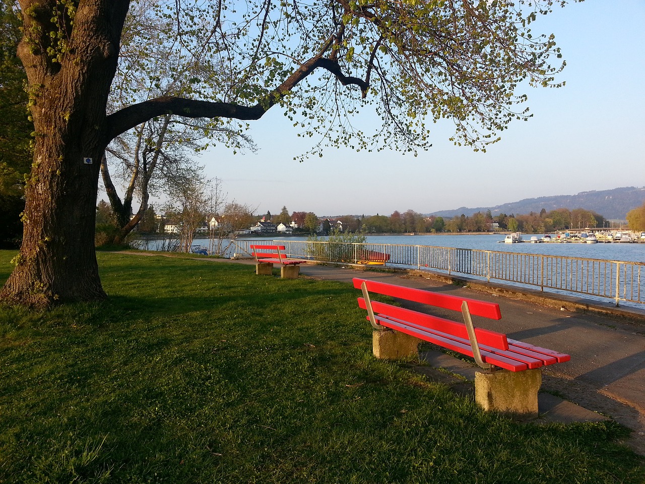 我国羽毛球 我国羽毛球